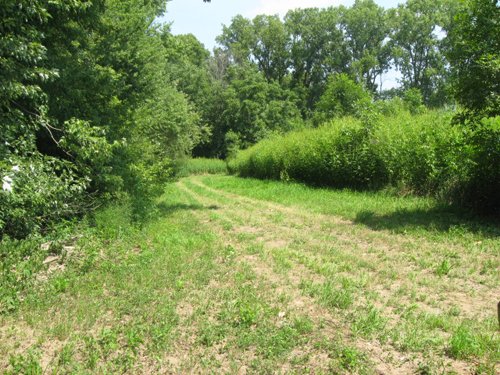 Property photo 15 - 27 Acres offered in 2 Tracts or Combination, Former U.A.W. Hall